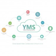 YEALINK Meeting Server (4.x)